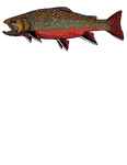 Brooke Trout Tee Shirt