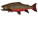 Brooke Trout Tee Shirt