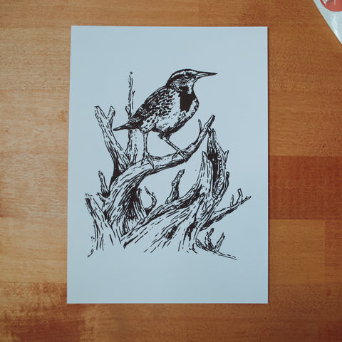 Meadowlark Digital Art Print