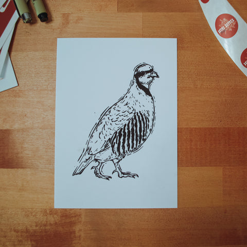 Chukar Digital Art Print