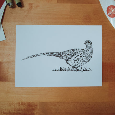 Pheasant Digital Art Print