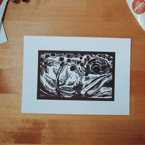 Rainbow Close Up Digital Art Print