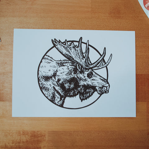 Moose Digital Art Print