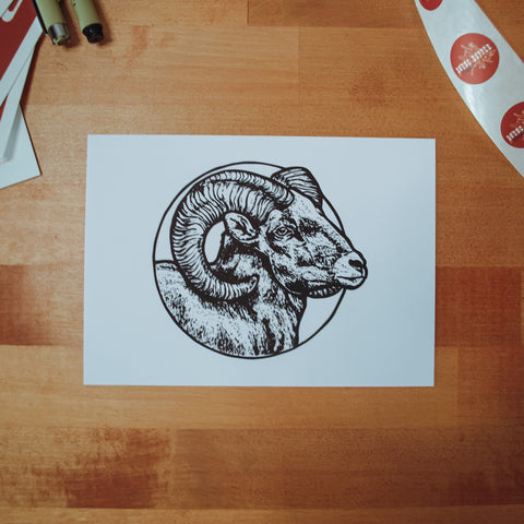 Big Horn Digital Art Print