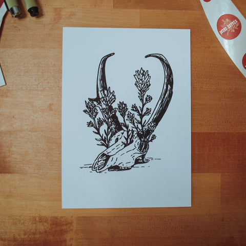 Indian Paintbrush Pronghorn Digital Art Print