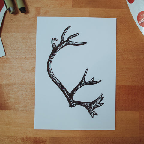 Caribou Antler Digital Art Print