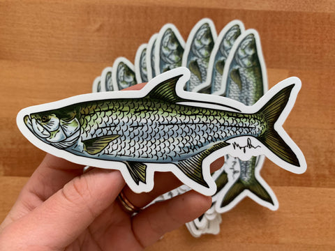 Tarpon Sticker