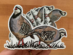 Chukar Sticker