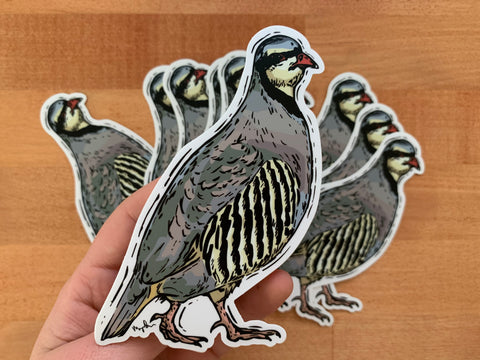 Single Chukar Sticker