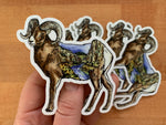 Wind River Canyon Bighorn Sheep Sticker