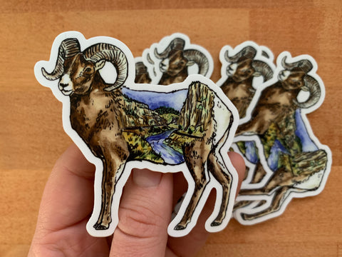 Wind River Canyon Bighorn Sheep Sticker