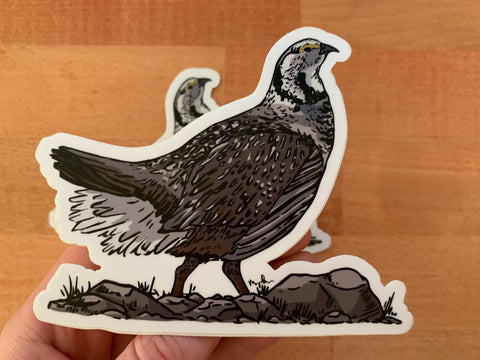 Snowcock Sticker