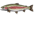 Rainbow Trout Tee Shirt