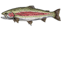 Rainbow Trout Tee Shirt